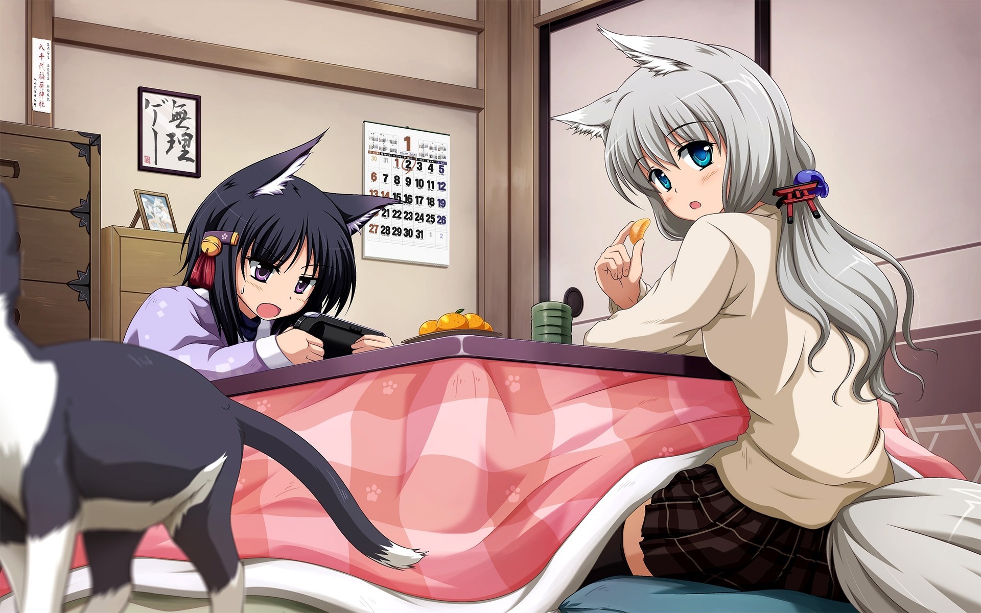 blue eyes short hair purple eyes white hair skirt black hair animals long hair thighhighs cat animal ears tail