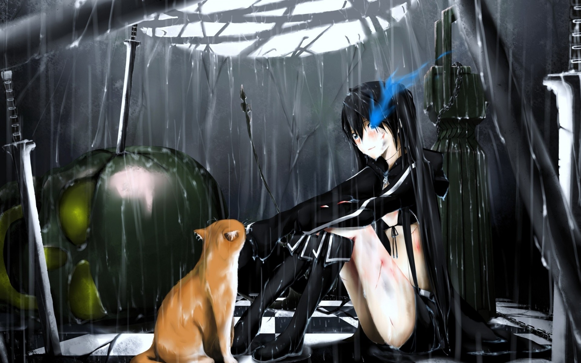 wet blush cat animals weapon kuroi mato rain sword