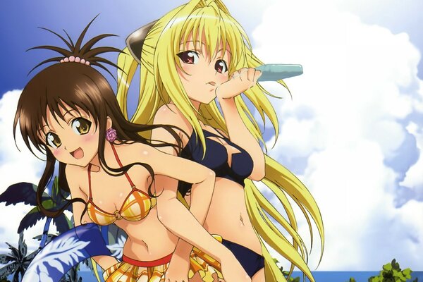 Two anime girls on the beach