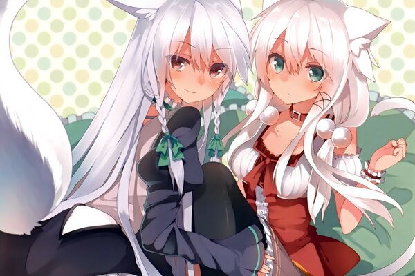 Anime deux filles avec de longs cheveux blancs dans de belles robes