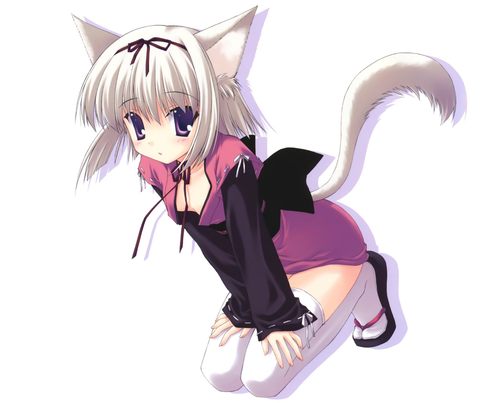 cheveux courts vêtements japonais blanc thighhighs catgirl oreilles d animaux queue de cheval