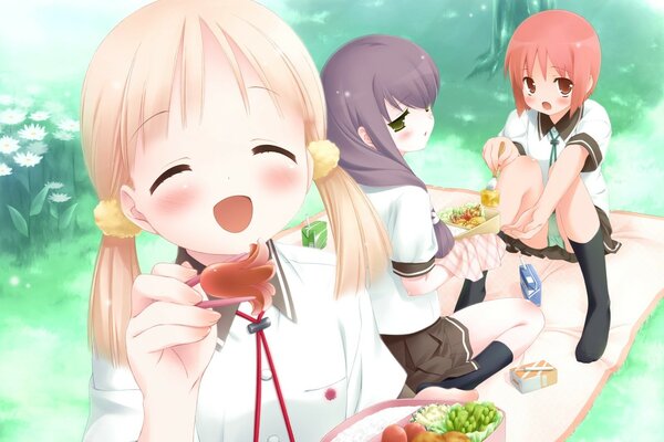 Anime girls had a picnic