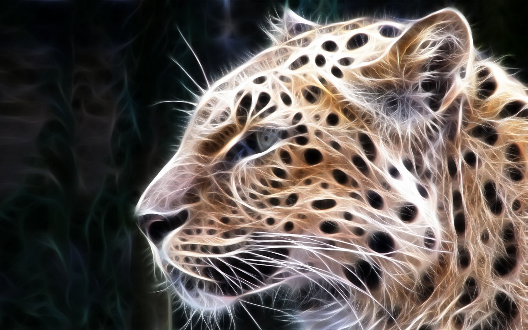 tylized processing leopard spots animals predators look cat eye