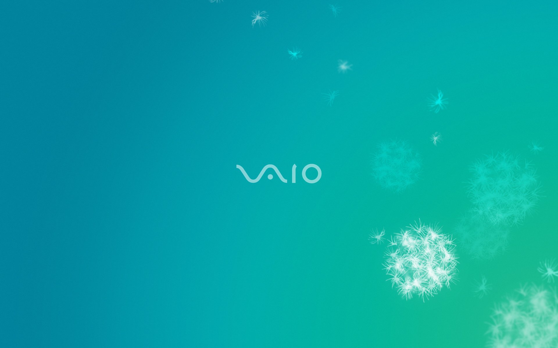 vaio hintergrund löwenzahn