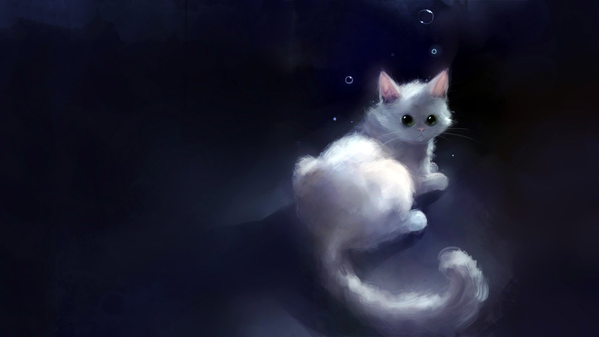 chat blanc bulles gris animaux vue félin yeux fond sombre dessin chaton oreilles queue