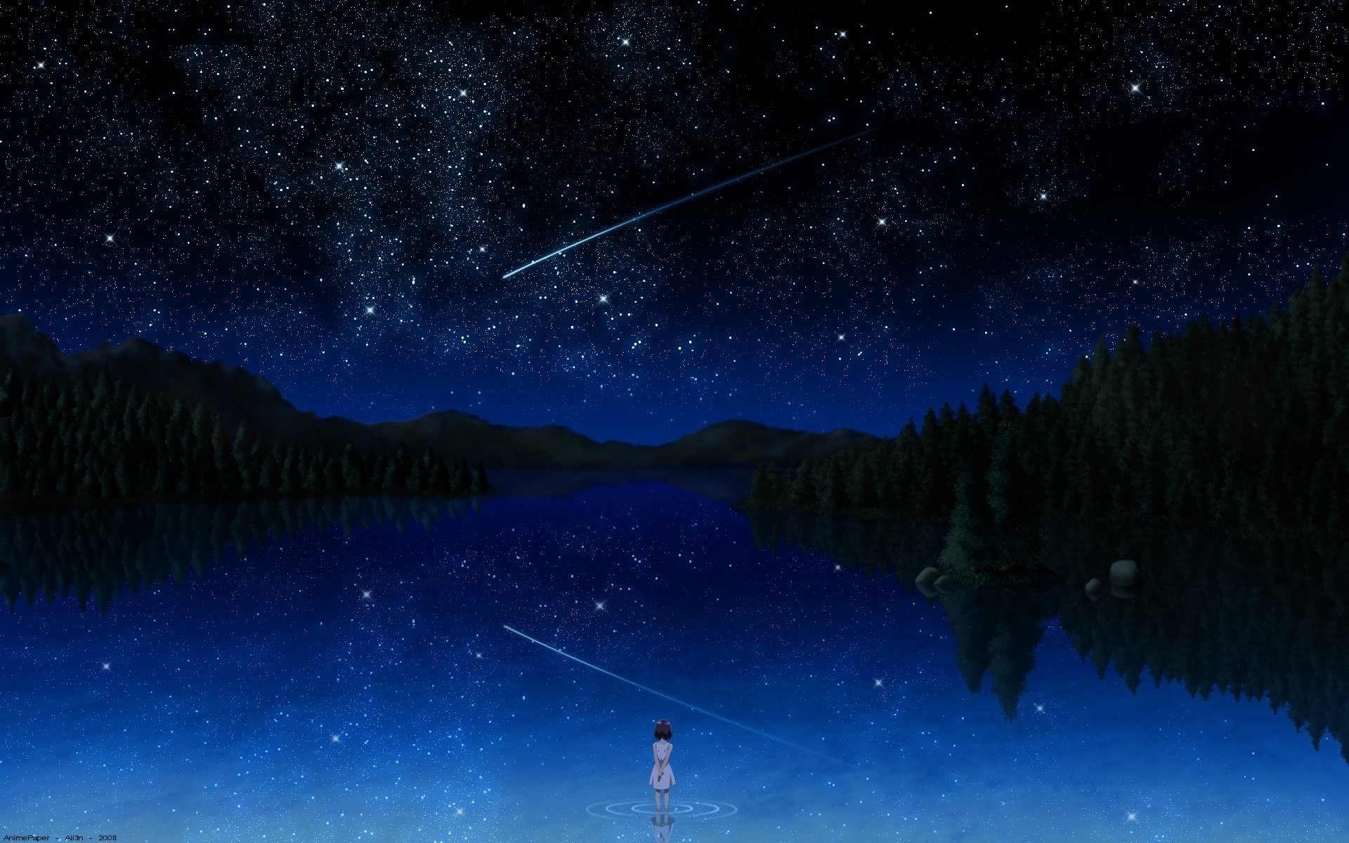 ragazza in riva al lago notte cielo stellato abeti meteore riva disegni anime cielo-a