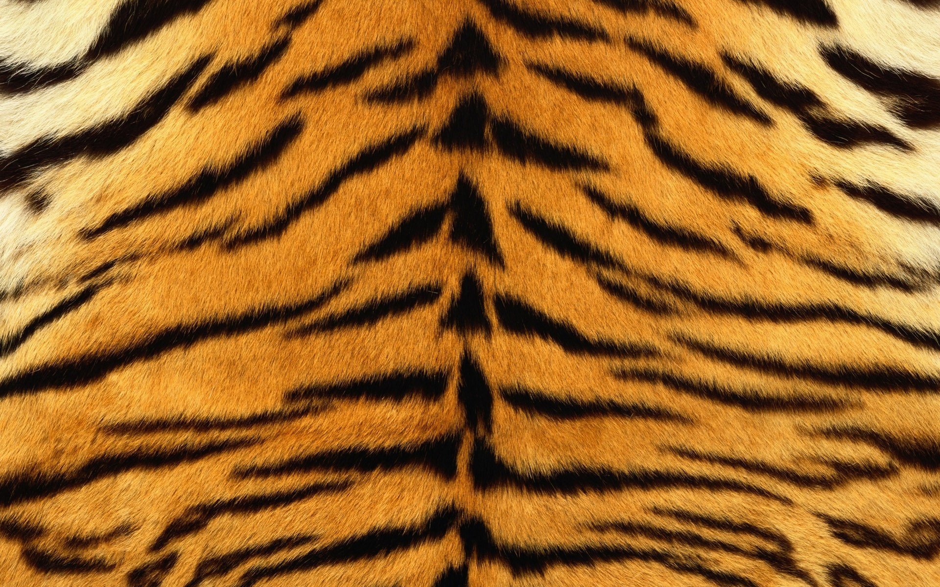 tiger fur back strip