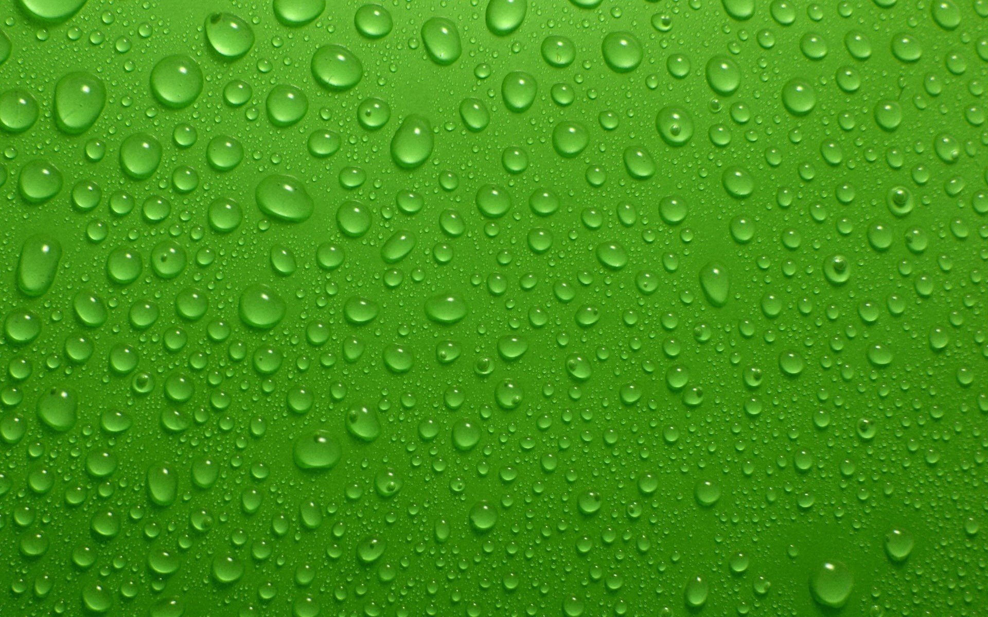 droplets of water green background the rain greens water drop