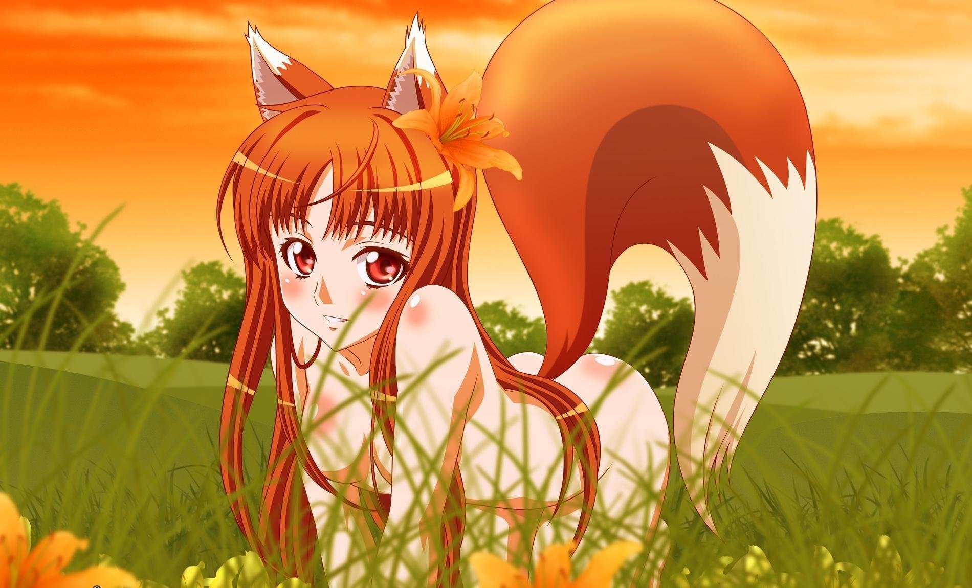 chanterelle girl fluffy tail orange tail green grass eyes drawings nature summer sky lily flower big eyes anime girls-a face-a eyes-a