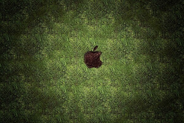 Tapeta Apple logo na zielonym trawniku