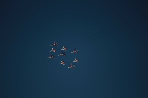 A group of fighter knights on a blue background