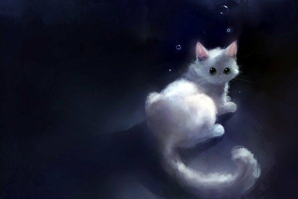 Weiße Katze in Blasen in der Nacht