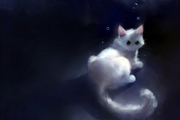 A white kitty in bubbles in a nightgown