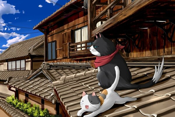 Summer anime cats on the roof