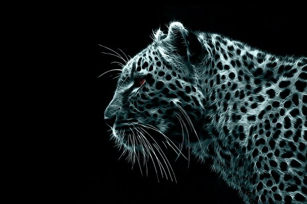 Leopardo bianco e nero con baffi pelosi di profilo