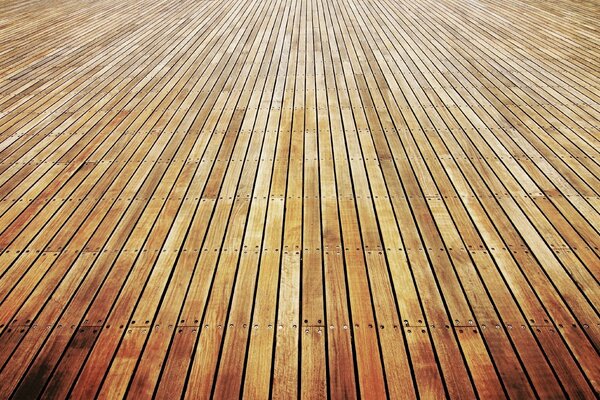 Parquet floor in a light background