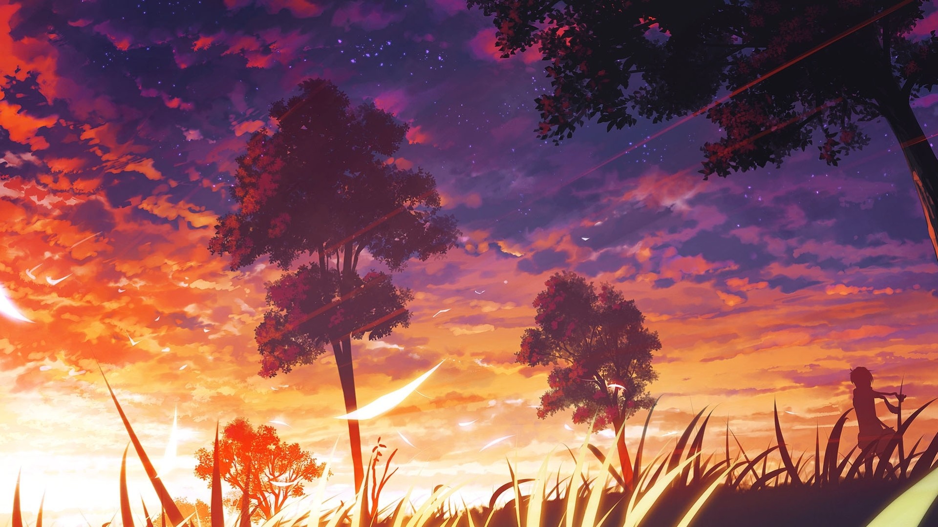 unset landscape tree grass scarf beautiful