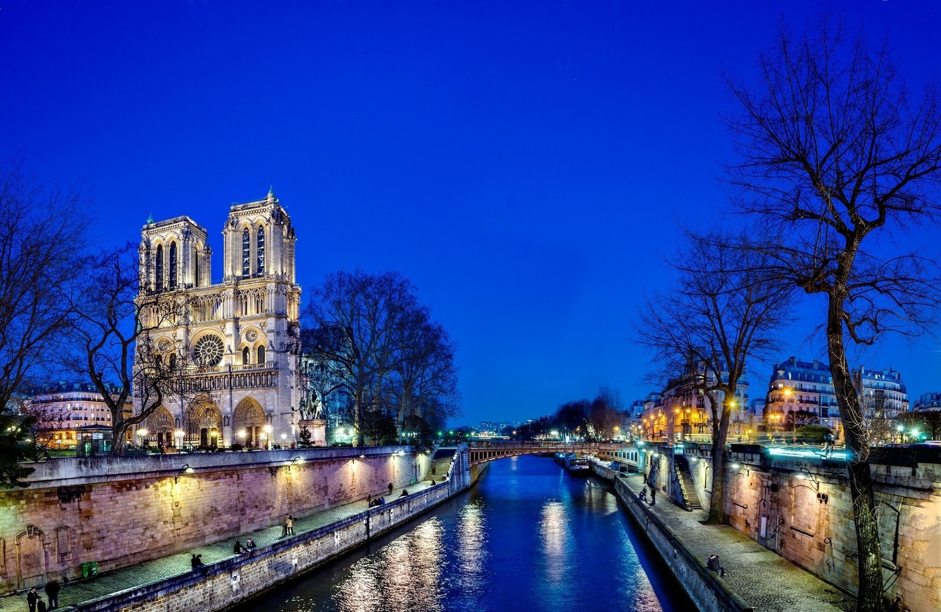 nuit notre-dame de paris rivière seine france arbres cathédrale notre-dame paris ville réflexion lumière qatar airways notre-dame de paris eau pont