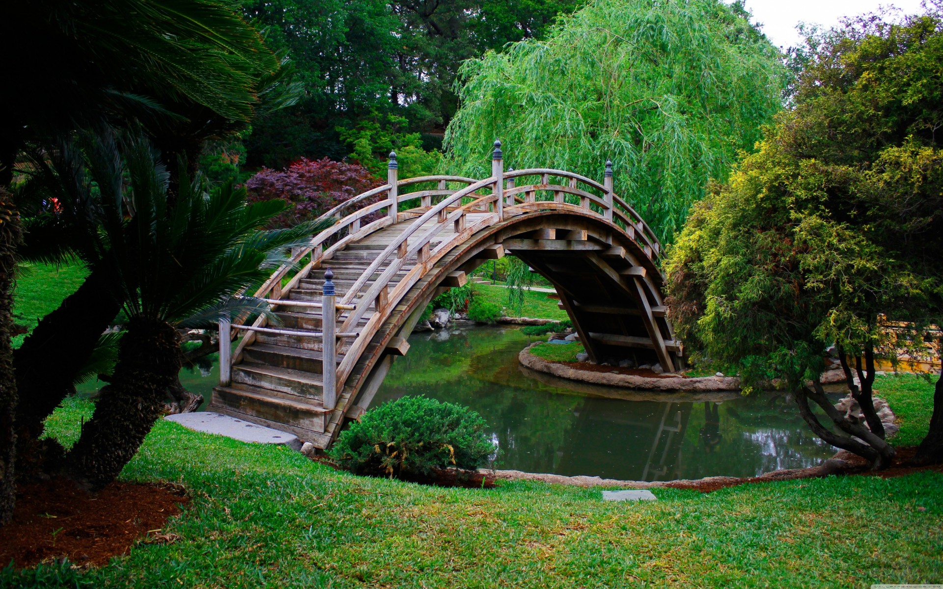 brücke teich japanisch garten japan