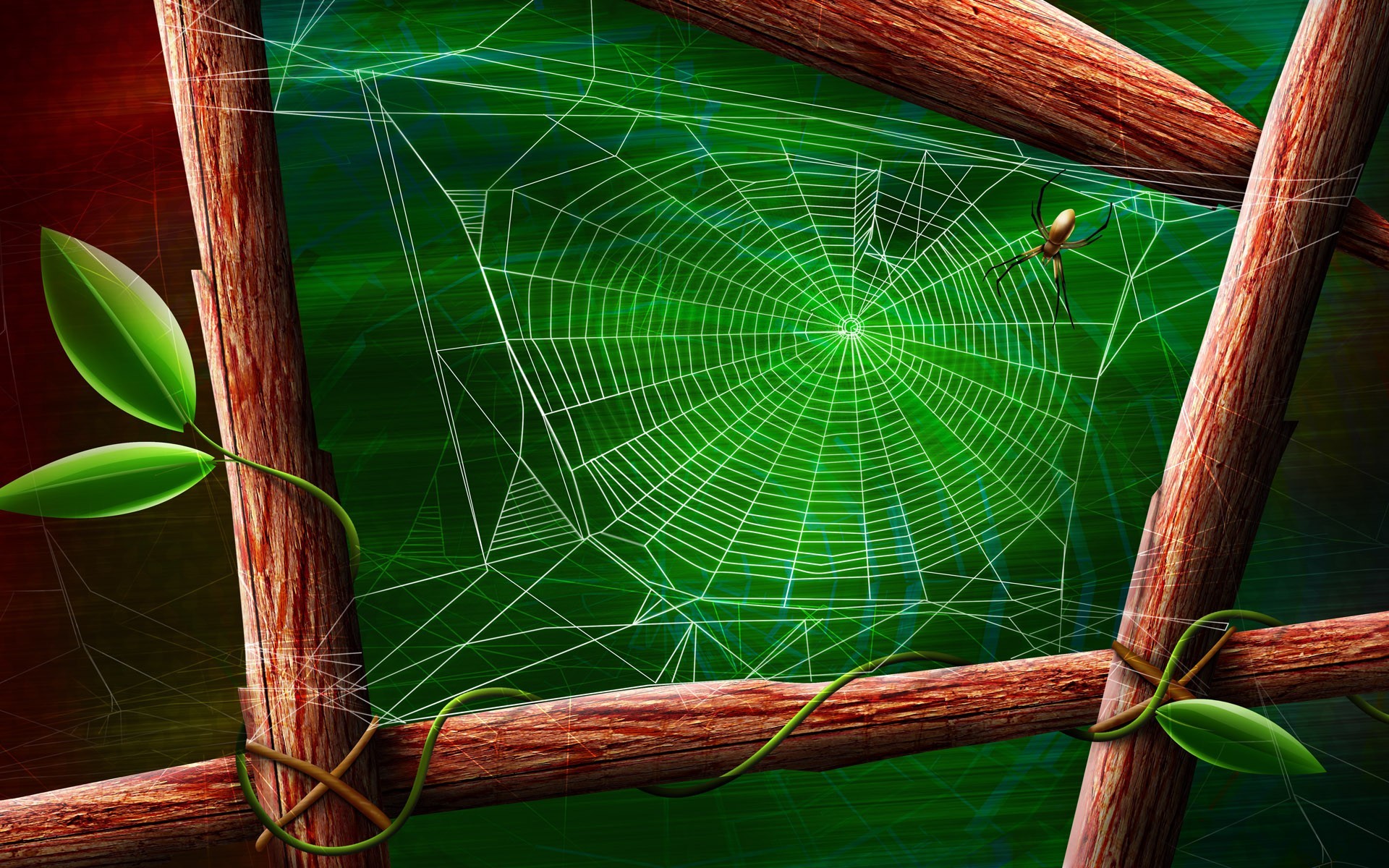 паутина паук зеленый лист