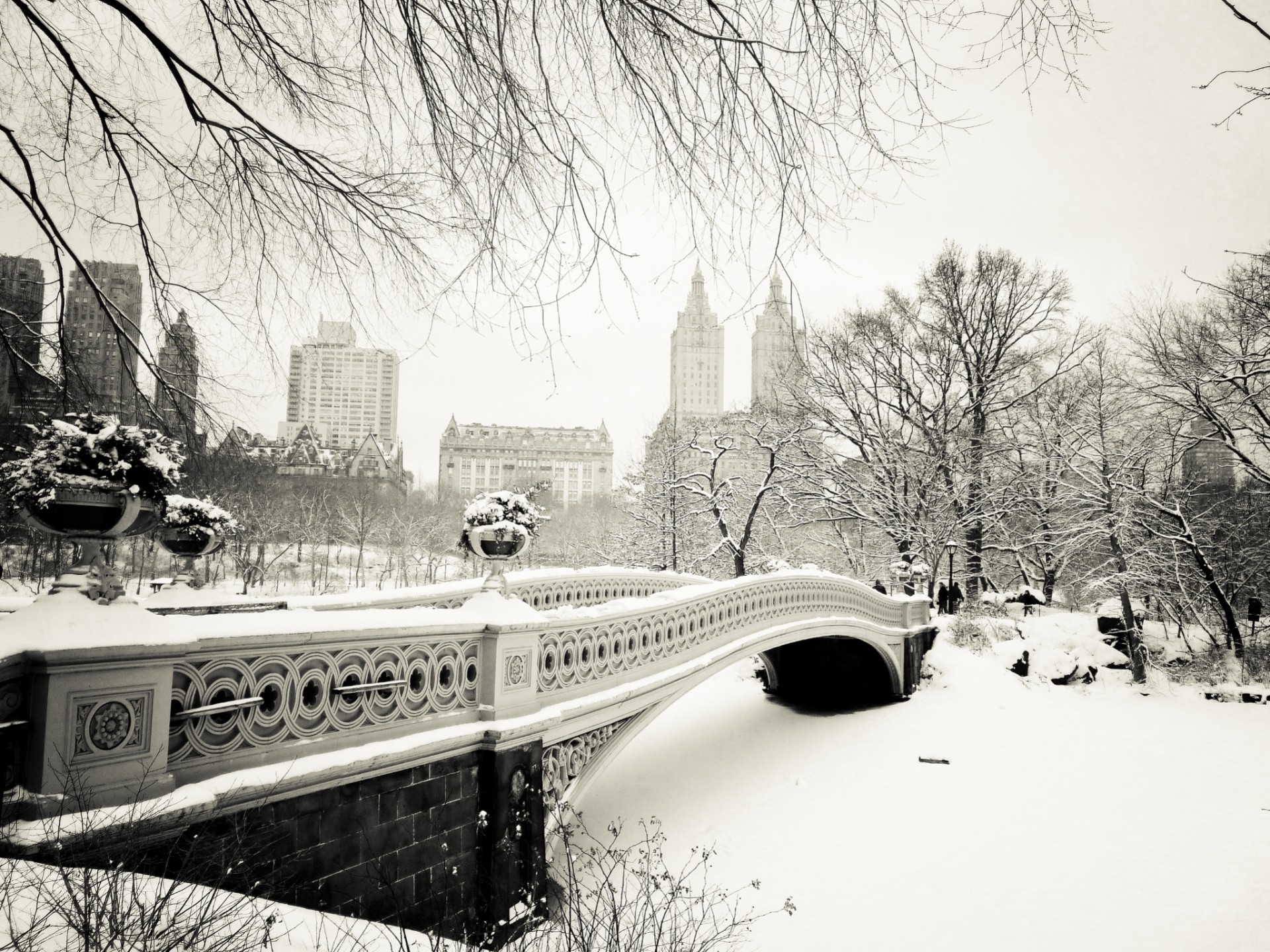 naturaleza nueva york invierno árboles ciudad nieve estados unidos central park