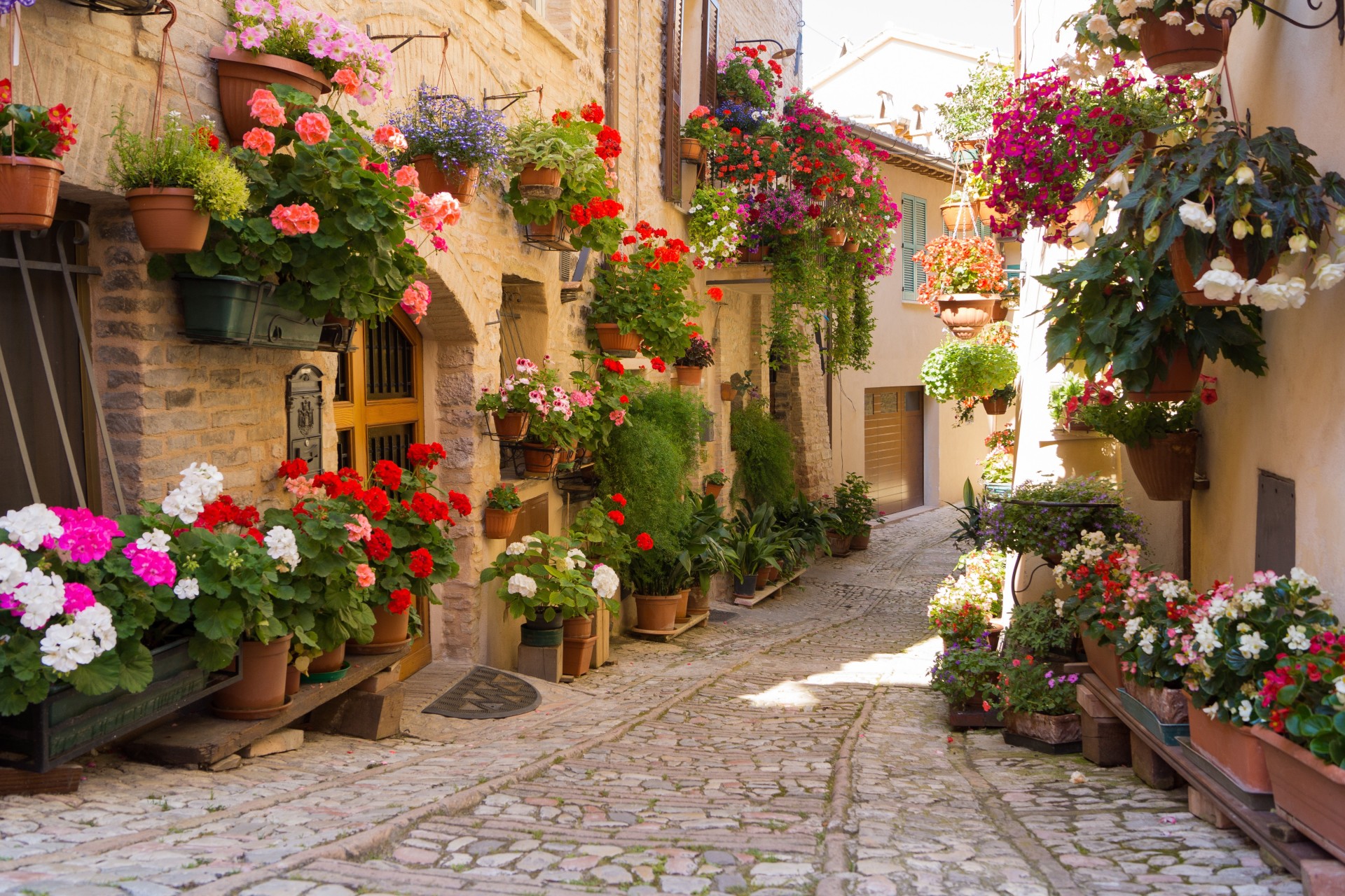 greece flower town