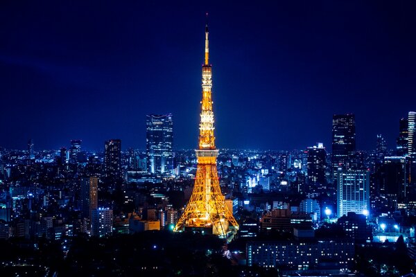 Bella vista della Torre di Tokyo
