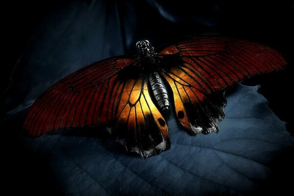 Papillon africain sur une grande feuille