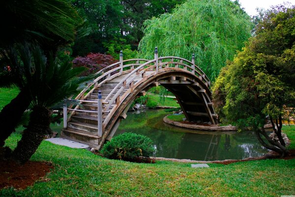 Jardín japonés con Moss al otro lado del estanque