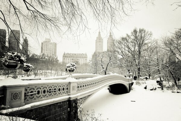 Snowy New York l hiver dernier