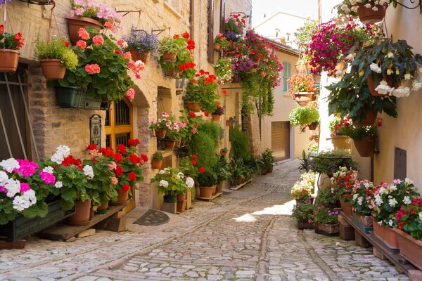 Narrow streets of Greek cities