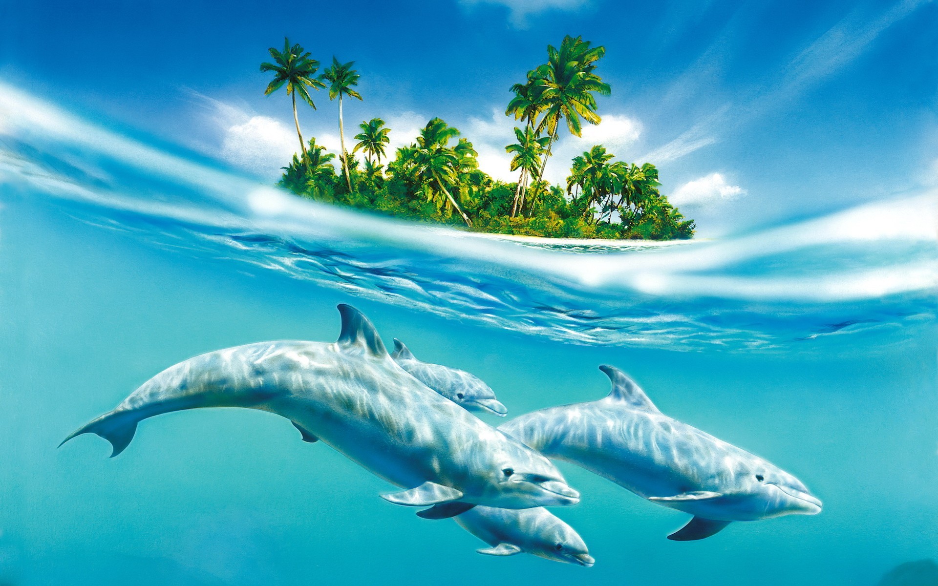 delfines isla agua