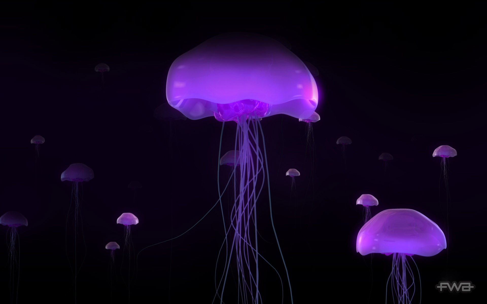 медузы свечение