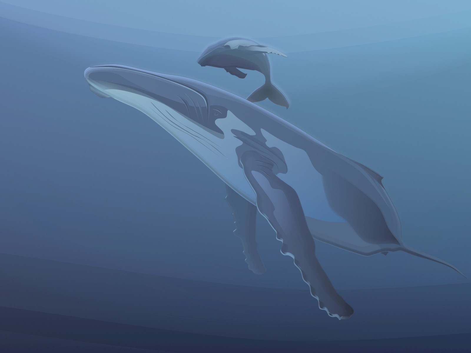 кит вектор синий