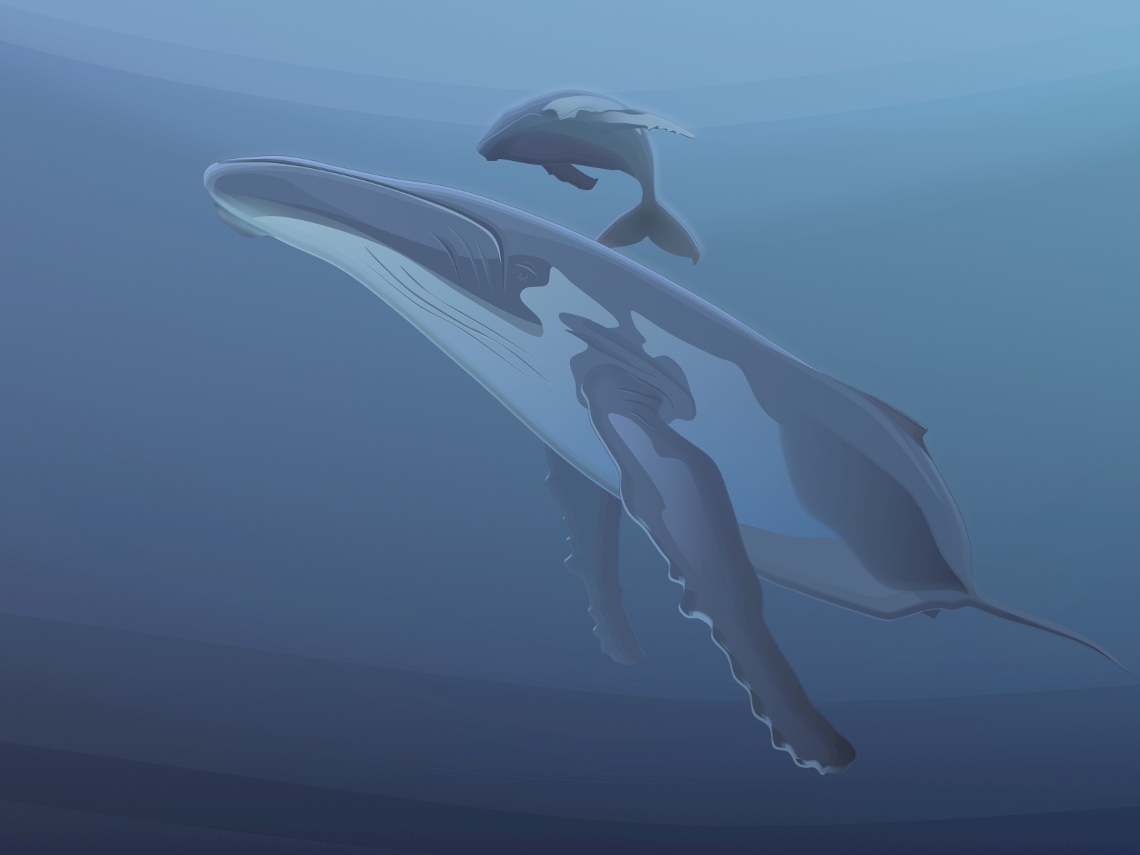 whale vector blue