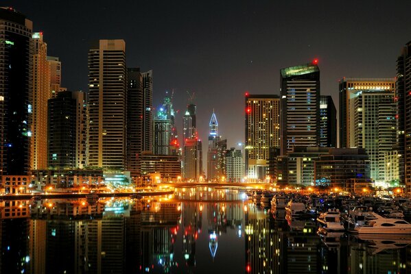 View from the water to the night metropolis