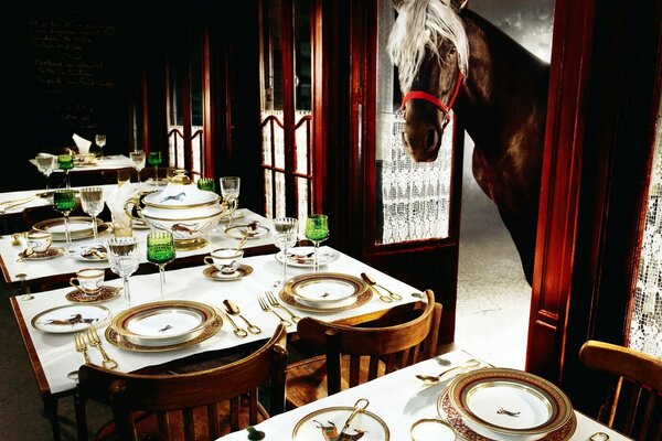 The horse looked into the restaurant hall