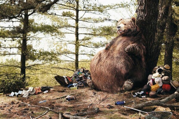 Gros ours appuyé sur un arbre