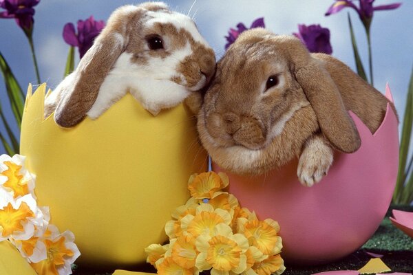 Conejitos de Pascua en el fondo de iris y narcisos