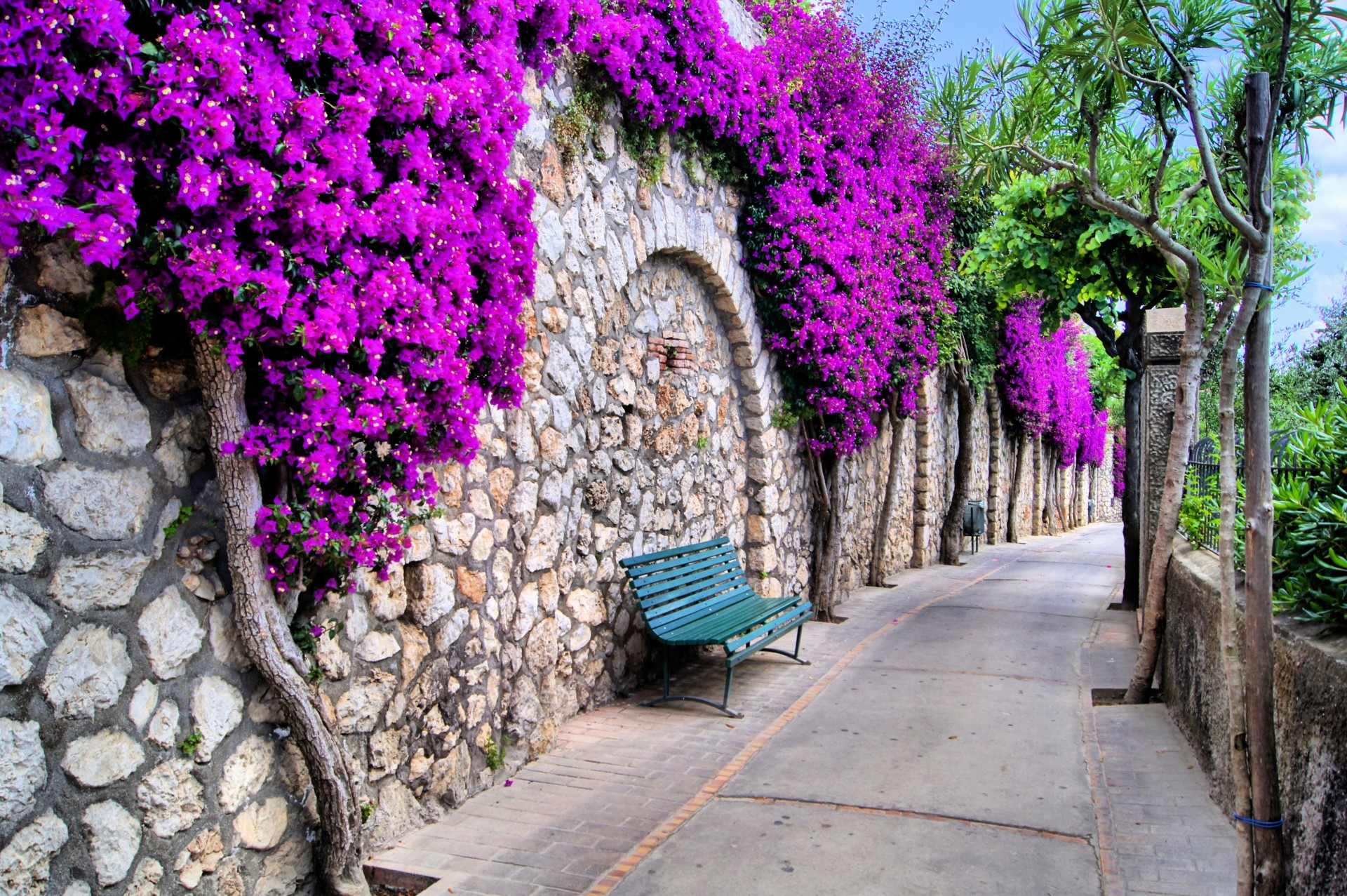 ville bancs palmiers rues belle italie fleurs