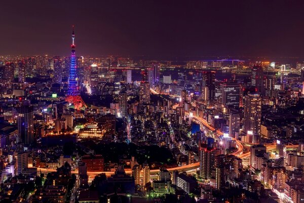 Der Tokyo Tower und die Wolkenkratzer Japans in den Abendlichtern