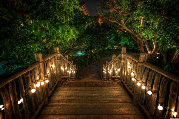 Stairs at night leading to the forest thicket