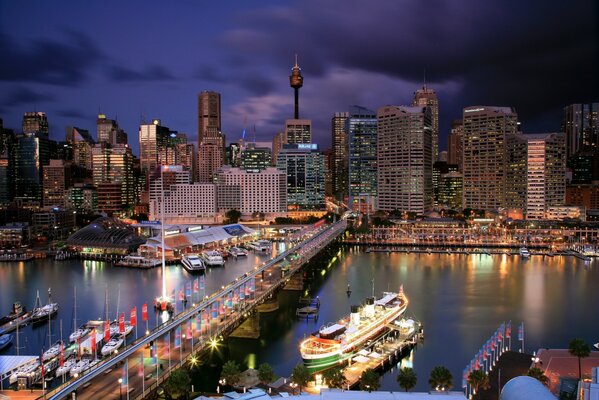 Night lights of the port city