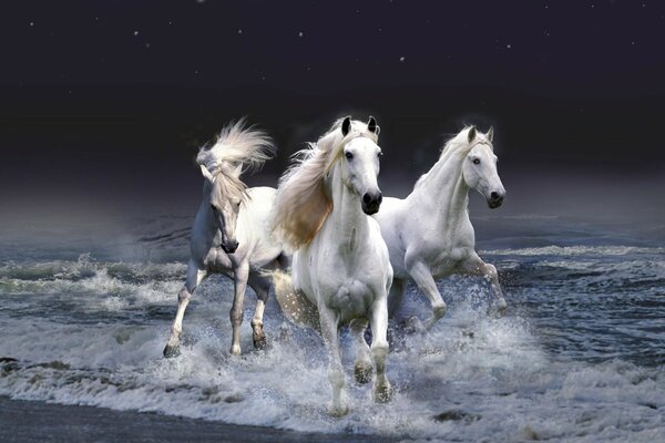 Chevaux courant sur la plage