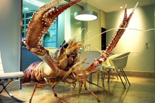Giant shrimp in the yellow room
