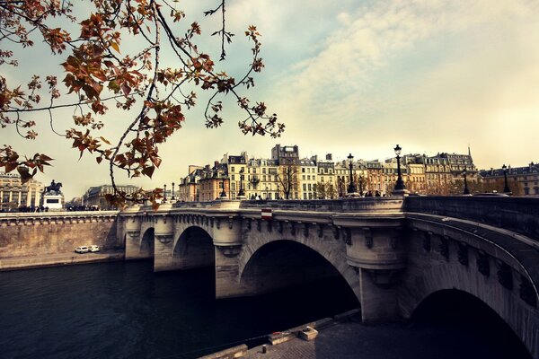 Puente de piedra del otoño de París