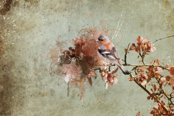 Schöner Vogel auf einem Zweig eines blühenden Baumes auf einem schmutzigen grauen Hintergrund