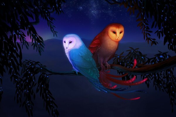 Fantasy owls elements fire and water