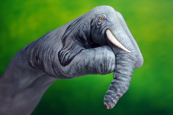 Hand mit einem gezeichneten Elefanten auf grünem Hintergrund