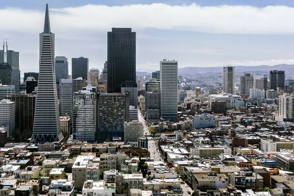 Panorama of skyscrapers top view